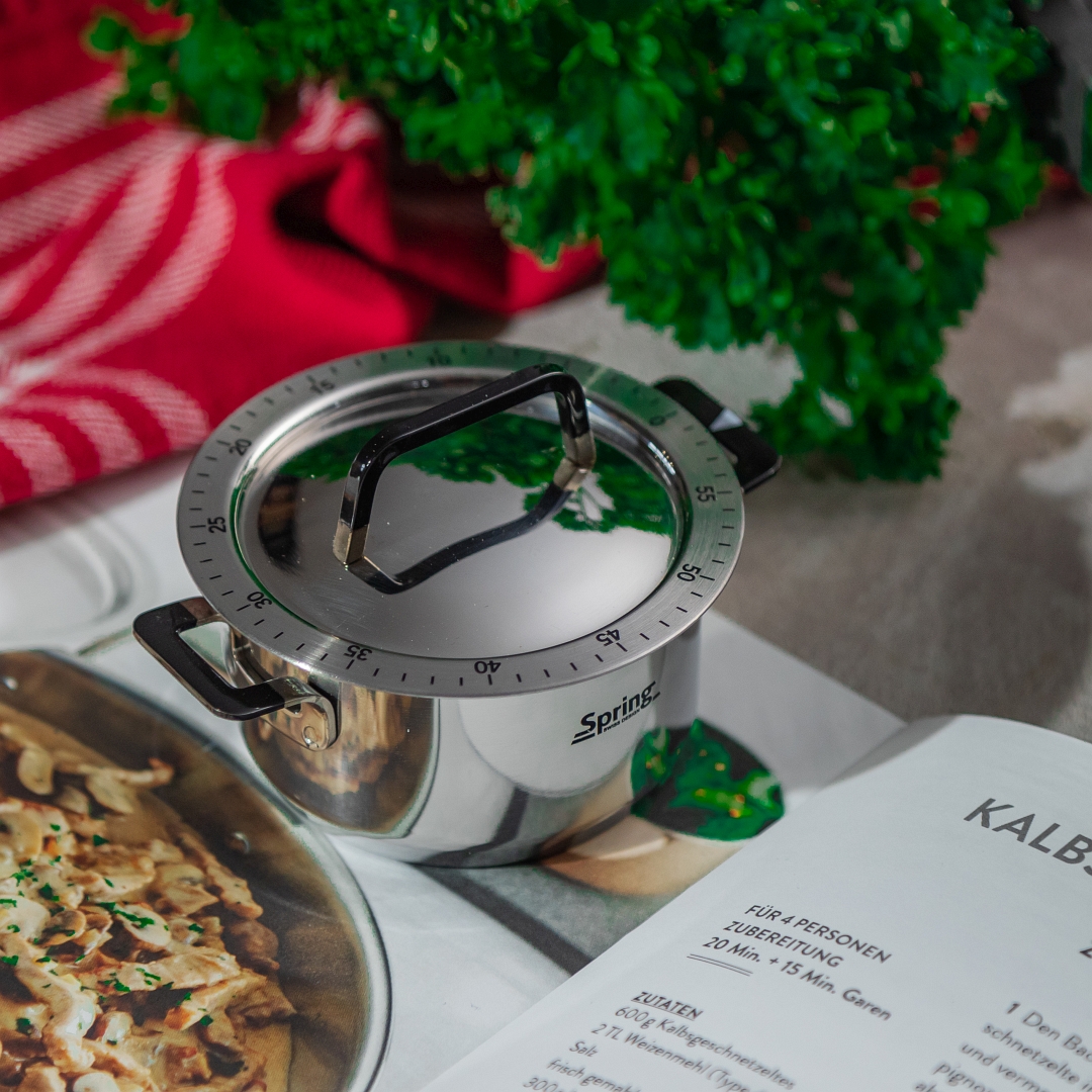 Spring  Fusion 2 Timer h1