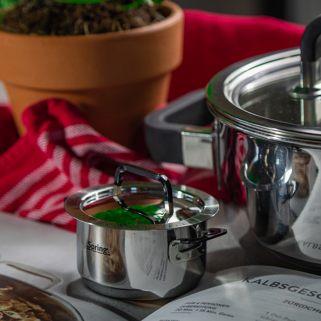 Spring  Fusion 2 Timer h2