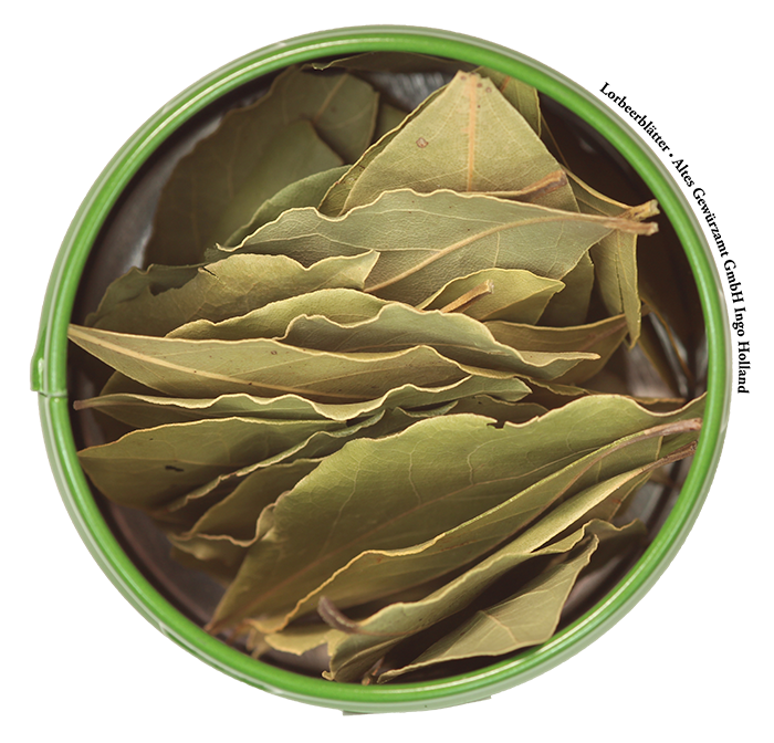 Altes Gewürzamt Lorbeerbältter Ganz Altes Gewürzamt Lorbeerbältter Ganz